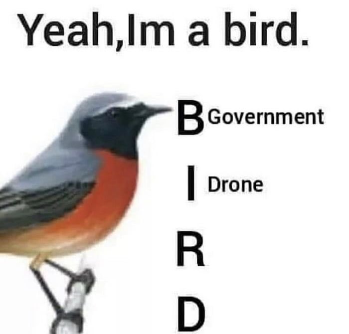 EXHIBIT E — B.I.R.D.